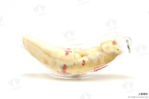 龍婆篇 - 2552 動物牙虎王