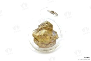 龍婆壯 - 2559 哈奴曼抱糖