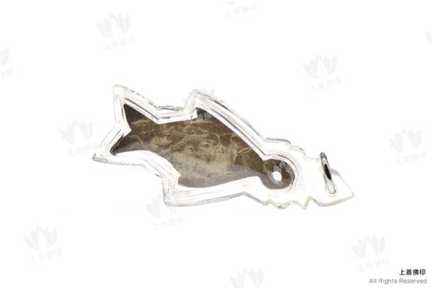 龍婆絕 - 2556 椰殼拉胡招財魚