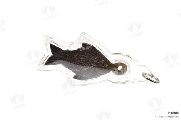 龍婆絕 - 2556 椰殼拉胡招財魚