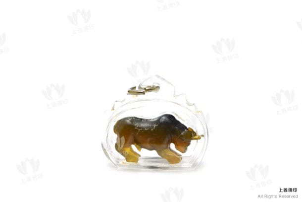 龍婆醒 - 2560 雷劈水牛角 牛