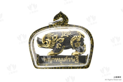 龍婆雲 - 2561 巨富野豬王, 黑金色1 背面圖