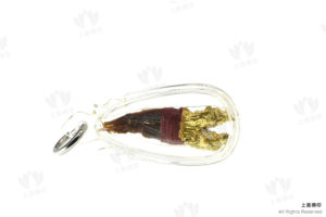 龍婆Waen介／龍婆灣該 招財蛇爪