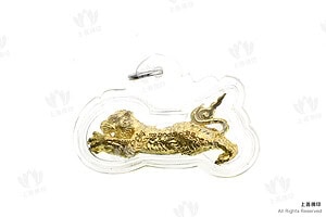 阿贊旁蝕 (古巴磐石) - 2562法會 第一期抓財猛虎 (虎中之王)