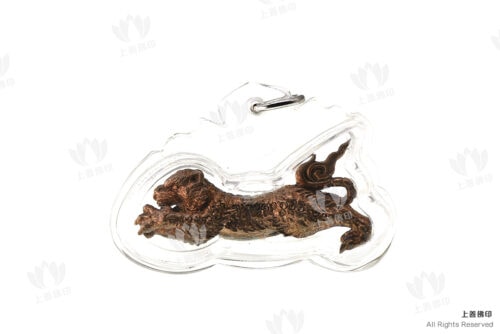阿贊旁蝕 (古巴磐石) - 2562法會 第一期抓財猛虎 (虎中之王)
