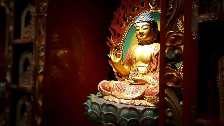 保護生命的圖片,展示佛教慈悲精神