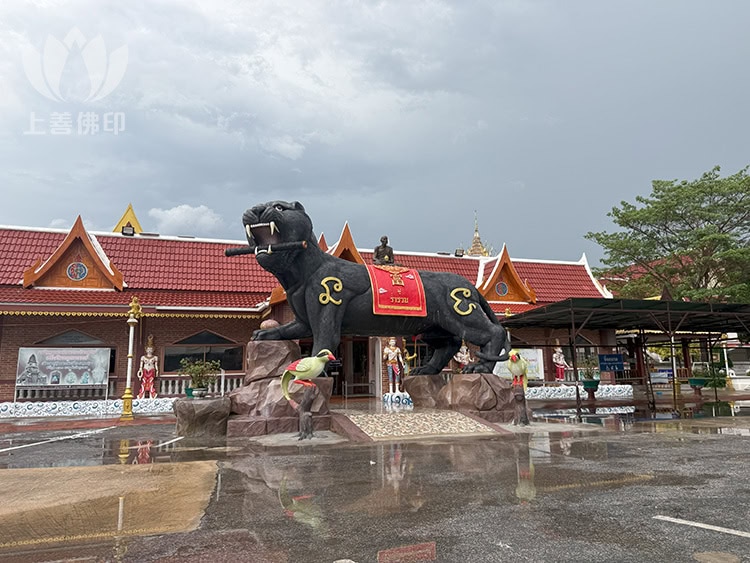 龍婆篇 Wat Kroen Ka Thin 寺廟新起的老虎