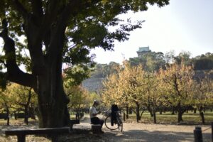 諸行無常，涅槃寂靜, 封面圖