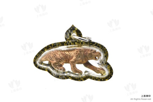 龍婆察 - 2556 虎王之王, 正面圖