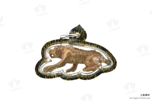 龍婆察 - 2566 虎王之王