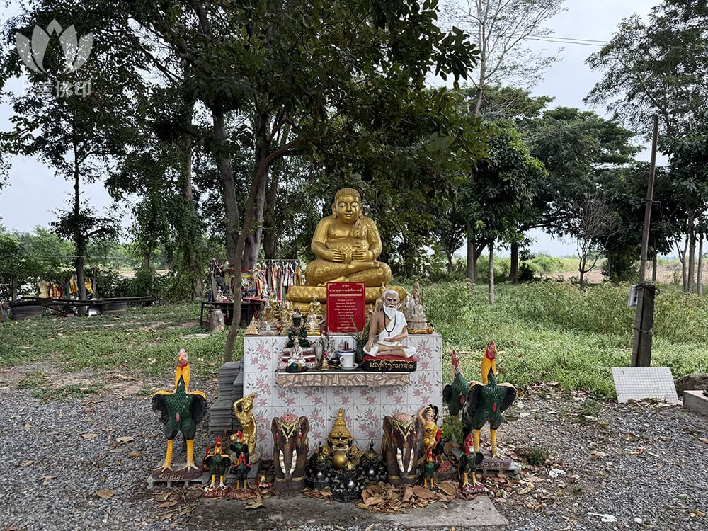 Wat Pako Samwanaram 寺廟外有尊聽聞很靈驗的財佛