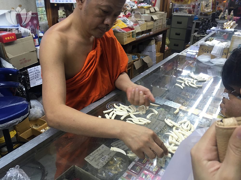寺廟的和可以說流利的國語