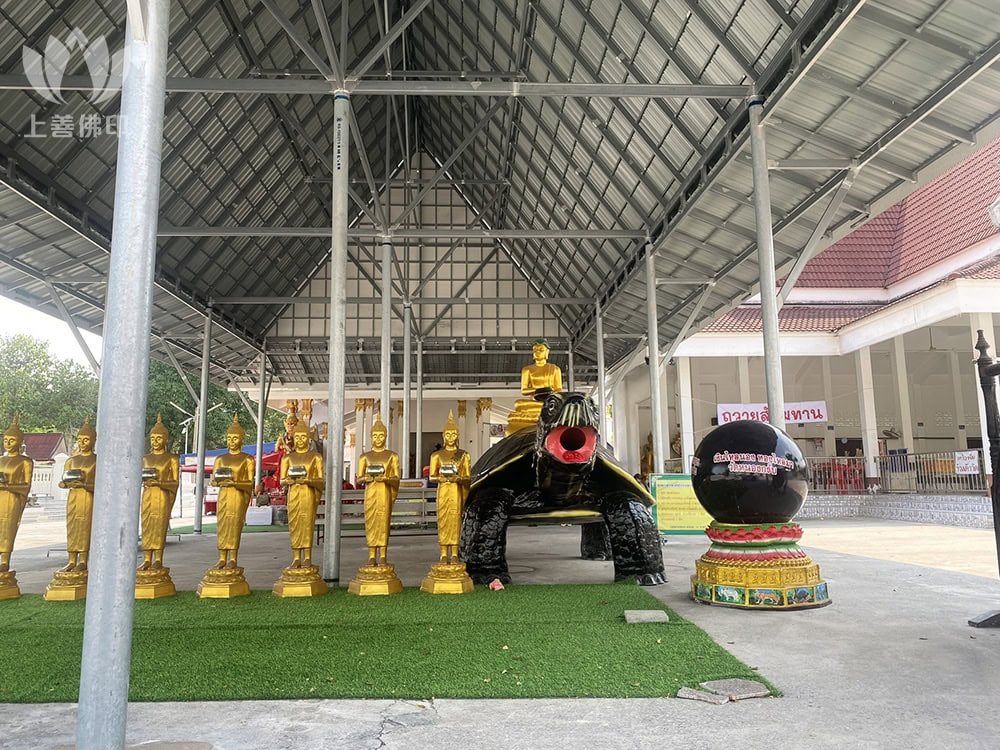 寺廟內有很特別的龜