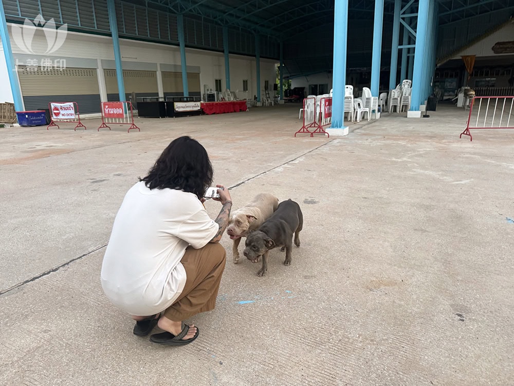 寺廟內幫兩位可愛的導遊拍照