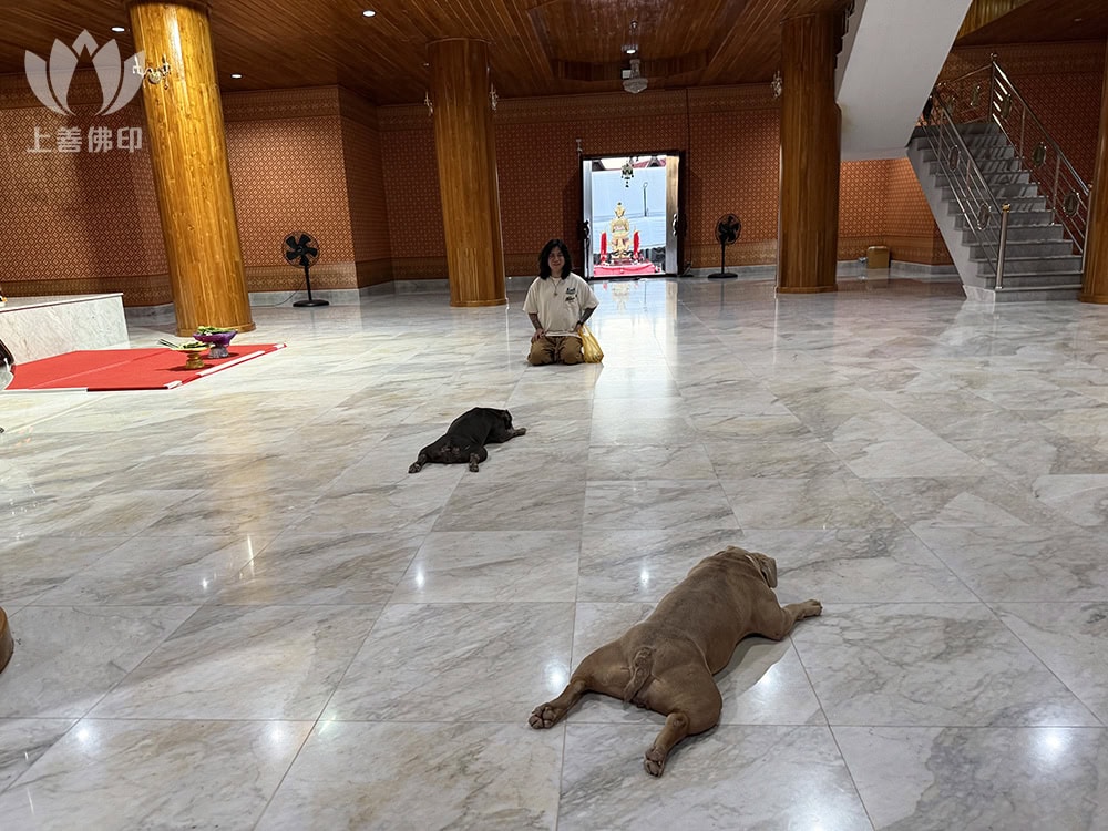 寺廟內兩位導遊一直跟蹤我, 好像玩紅綠燈, 我一停他們都停.
